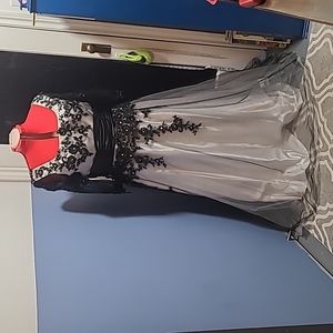 Satin, Lace, and Tulle Ball Gown